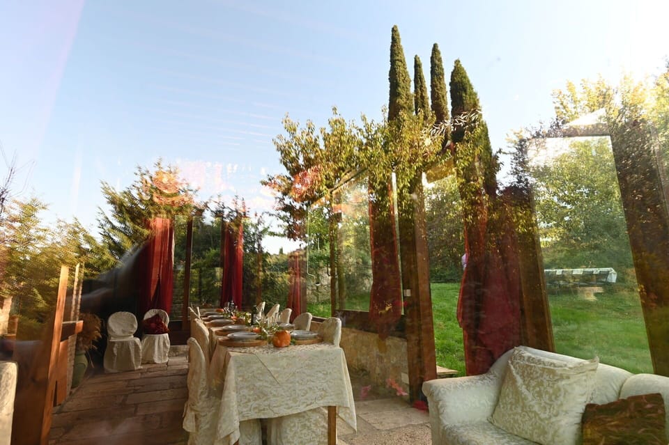 Sky, Plant, Property, Table, Wood, Branch, Interior Design, Decoration, Chair, Real Estate