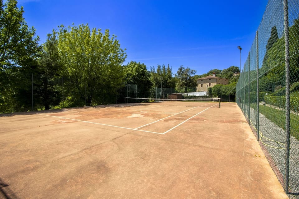 Tennis Court, Tree, Tennis, Racquet Sport, Net, Sports