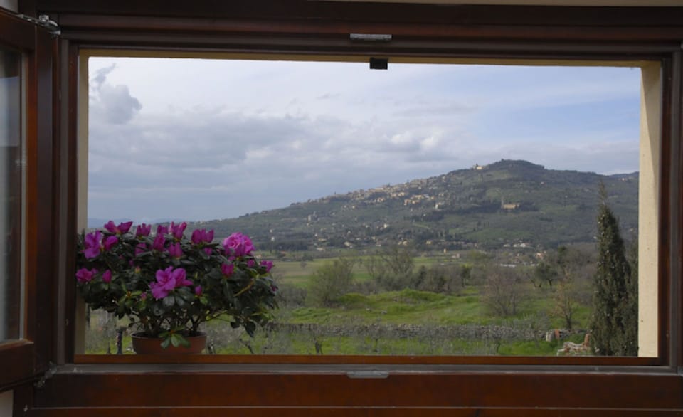 Panoramic view