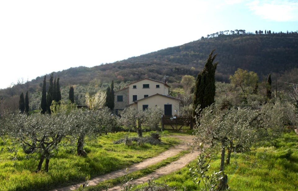 Panoramic view