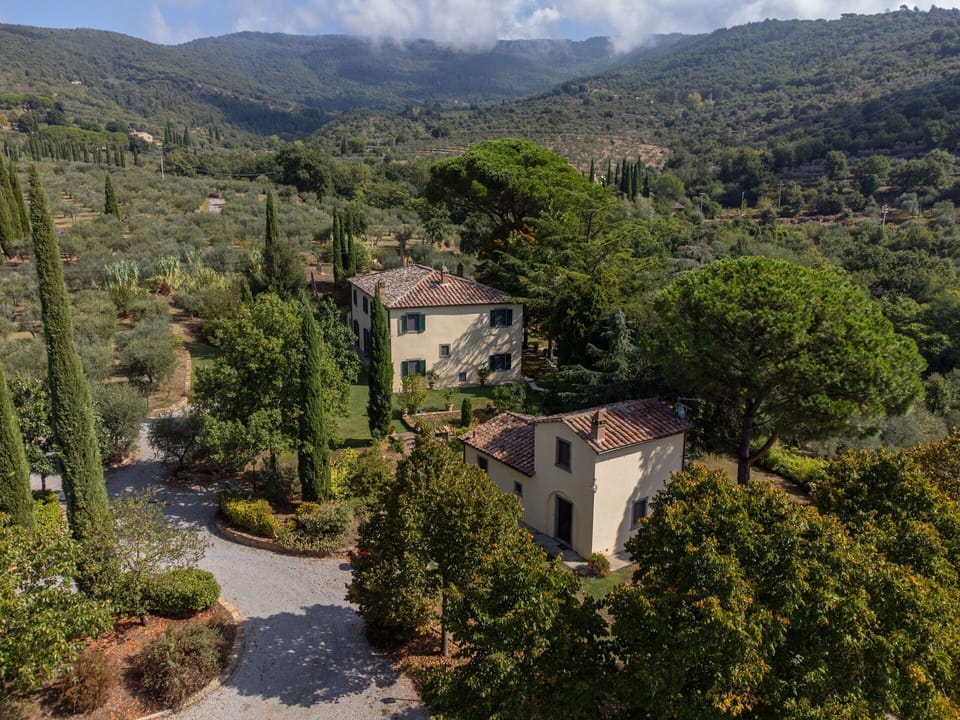 Panoramic view