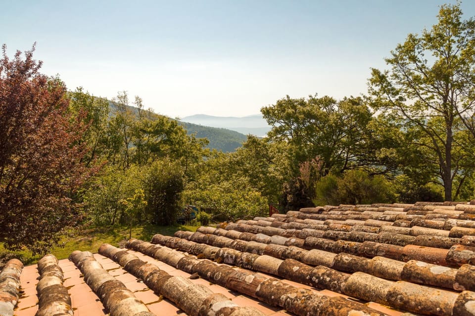 Sky, Plant, Plant Community, Cloud, Wood, Natural Landscape, Vegetation, Biome, Agriculture, Tree