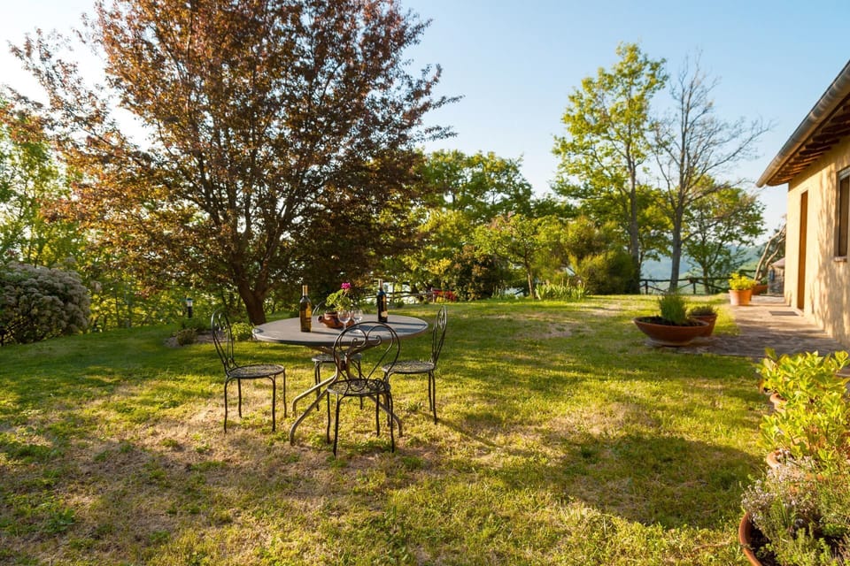 Plant, Sky, Table, Window, Tree, Shade, Natural Landscape, Land Lot, Sunlight, Building
