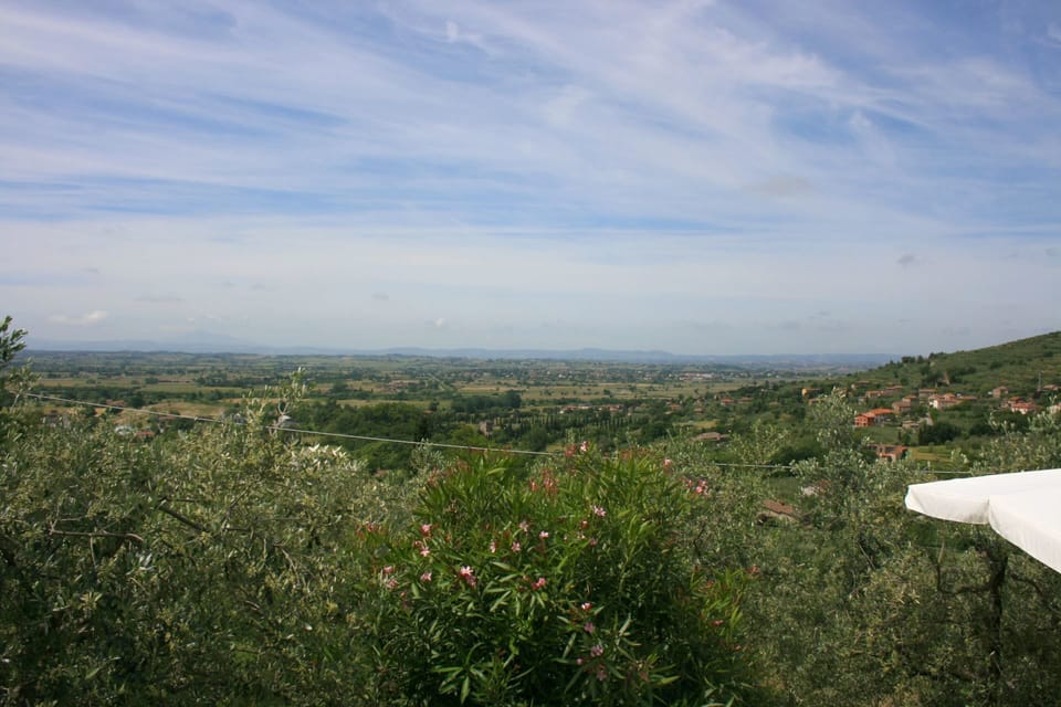 Sky, Cloud, Plant, Flower, Natural Landscape, Plain, Grass, Horizon, Cumulus, Grassland