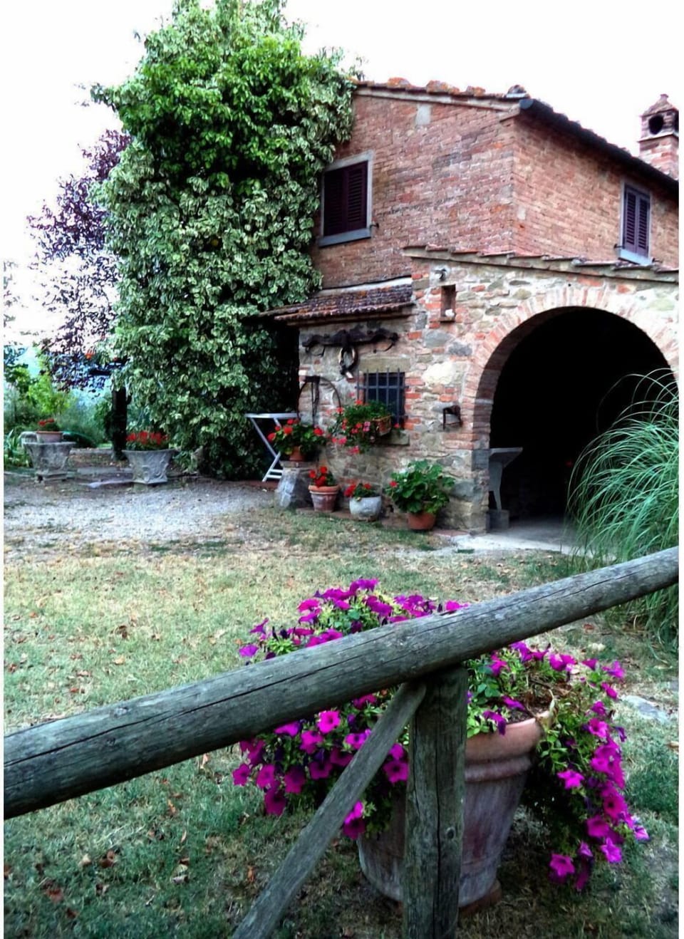 Plant, Building, Flower, Window, Petal, House, Grass, Natural Landscape, Landscape, Rural Area