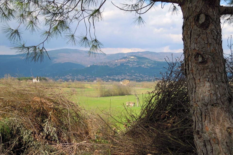 Cloud, Sky, Plant, Plant Community, Ecoregion, Natural Landscape, Mountain, Wood, Twig, Highland