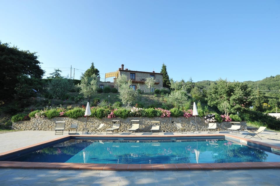 Swimming pool and outdoor view