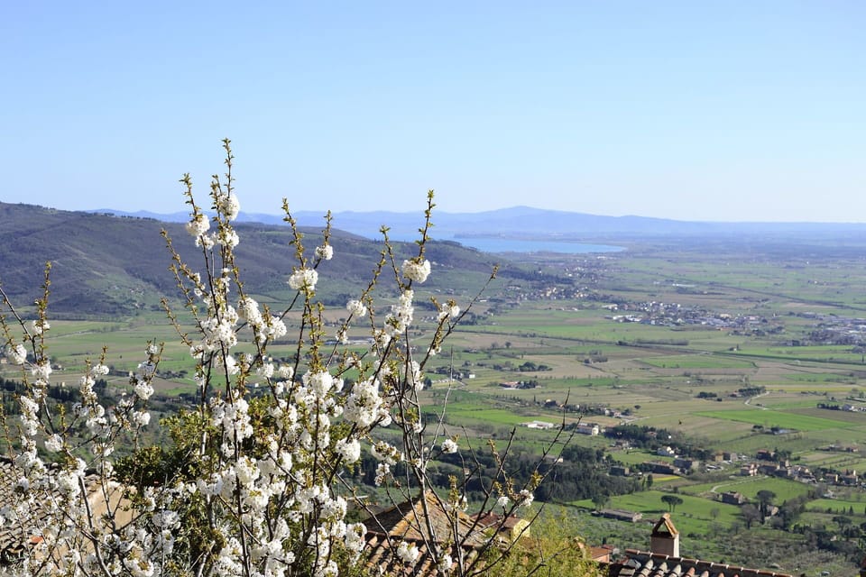 Panoramic view