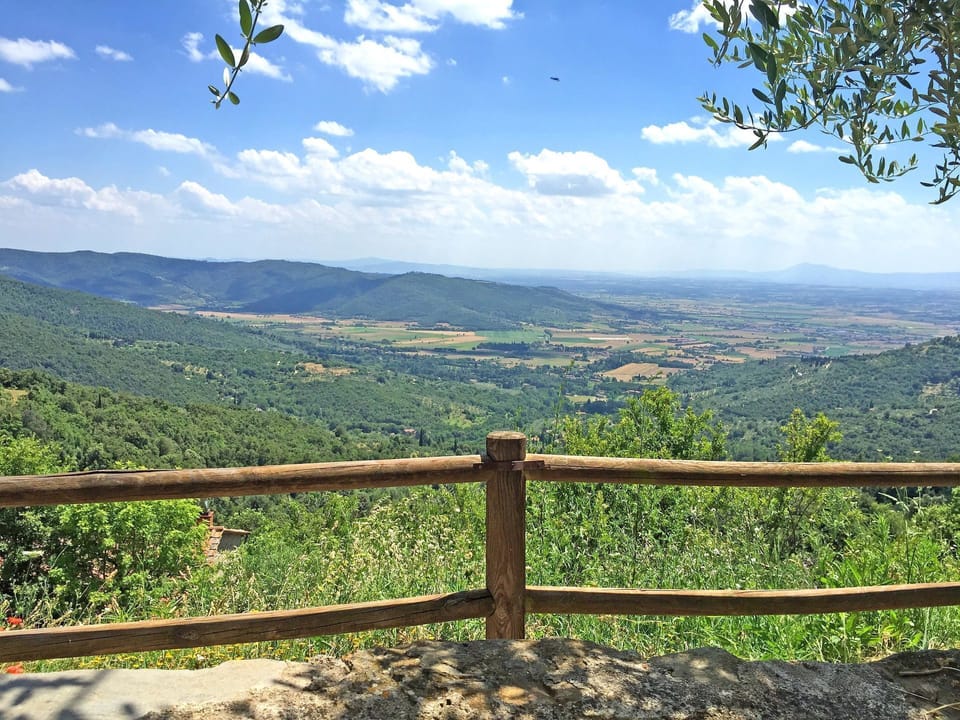 Panoramic view