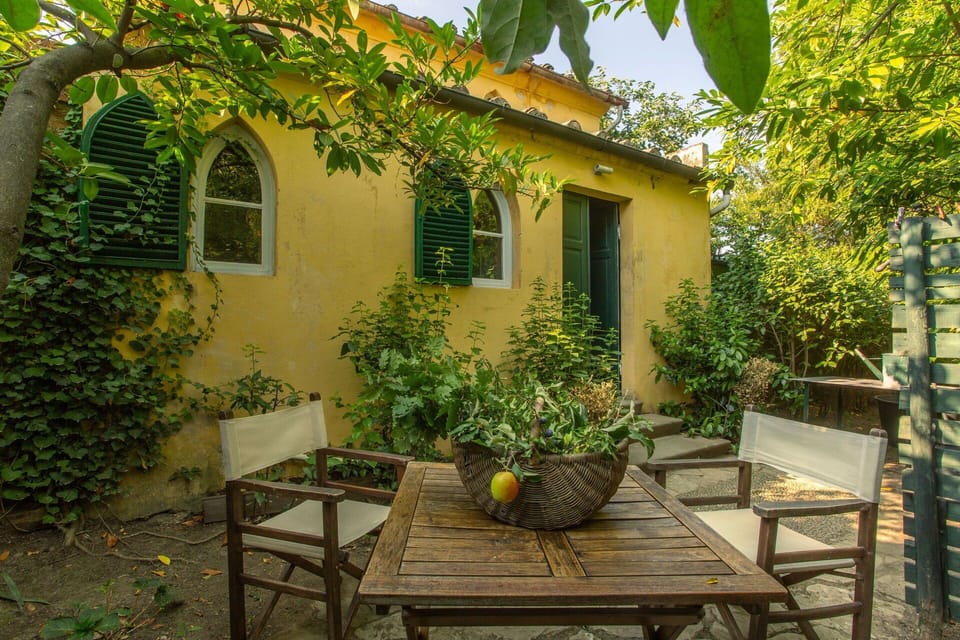 Garden, Outdoor