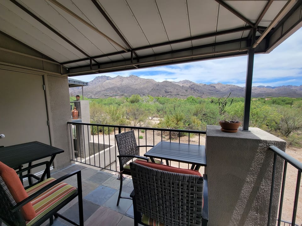 Patio View