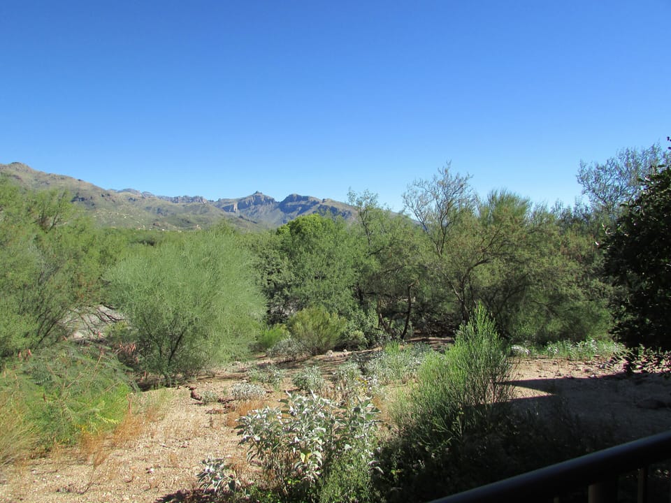 Patio view - Picture Description