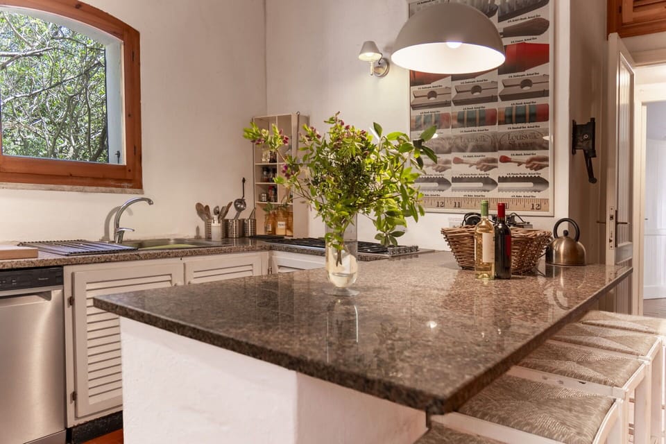 Kitchen, Countertop, Furniture, Interior Design, Kitchen Appliance, Cabinetry, Wood, Flooring, Light Fixture, Lighting