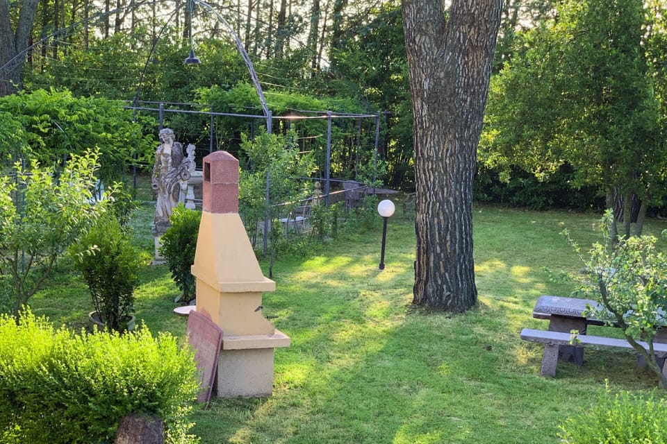 Garden, Lawn, Landscaping, Shade, Outdoor Furniture, Park, Hacienda, Estate, Yard, Eco Hotel