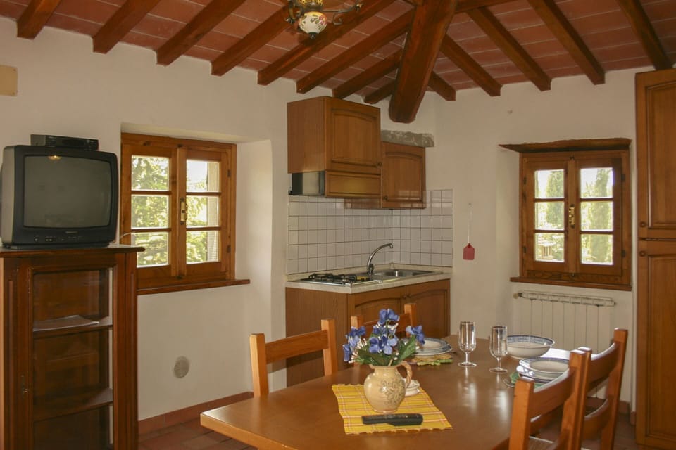 Wood, Ceiling, Wood Stain, Hardwood, Houseplant, Cabinetry