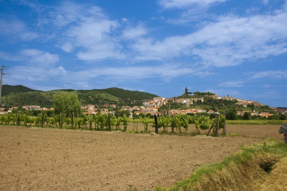 Mountainous Landforms, Hill, Mountain, Highland, Horizon, Landscape, Grassland, Rural Area, Agriculture, Hill Station