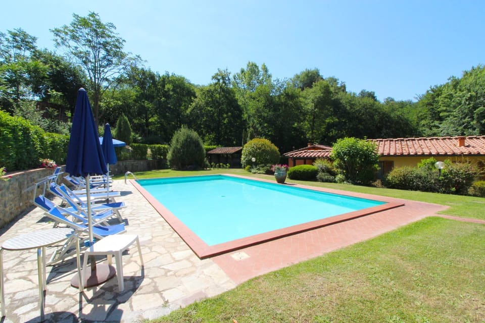Plant, Sky, Property, Swimming Pool, Shade, Tree, Water, Chair, Grass, Leisure
