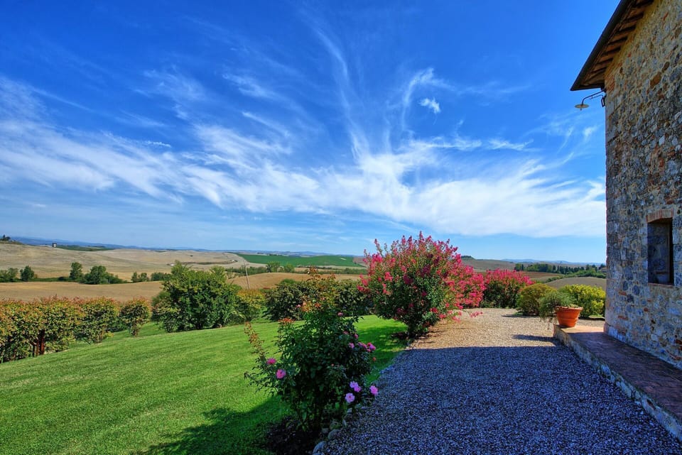 Garden, Outdoor