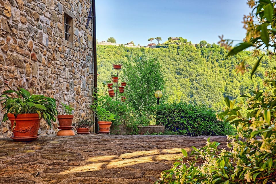 Garden, Outdoor