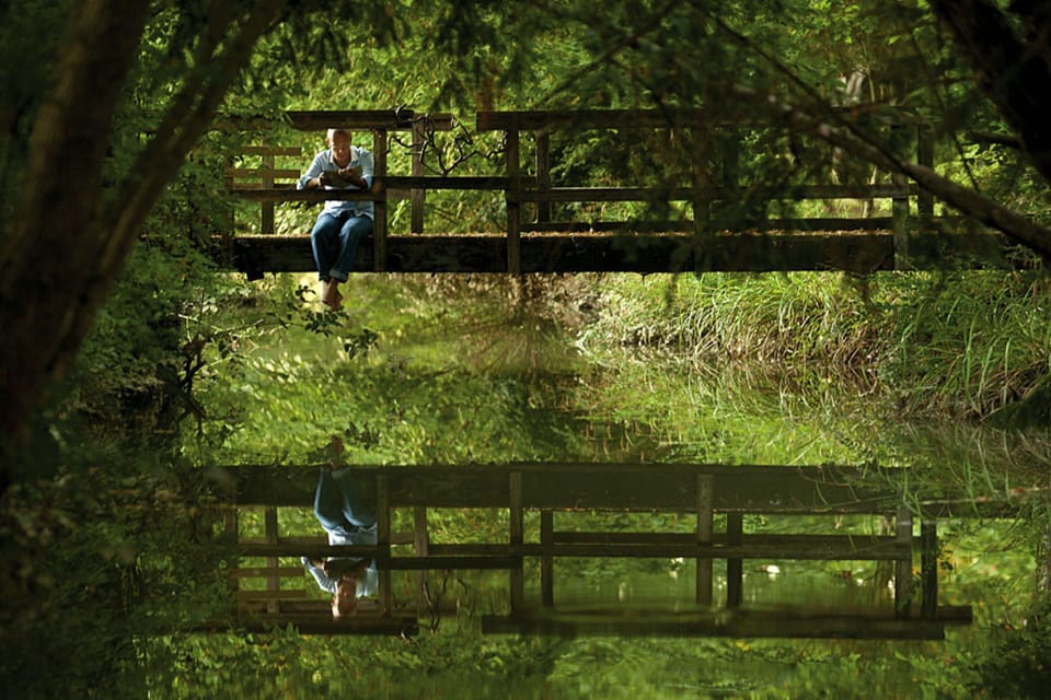 The centuries-old park around the house (18 acres - 9 hectars) is rich in ancient plants and trees and offers hidden corners for relax and sunset walks.