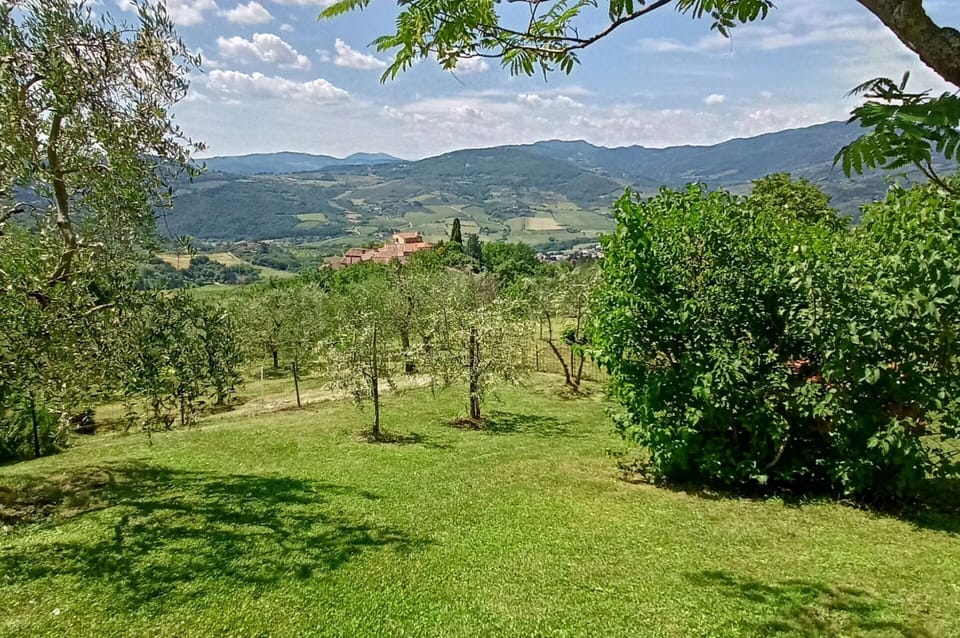 Scenic View, Summer