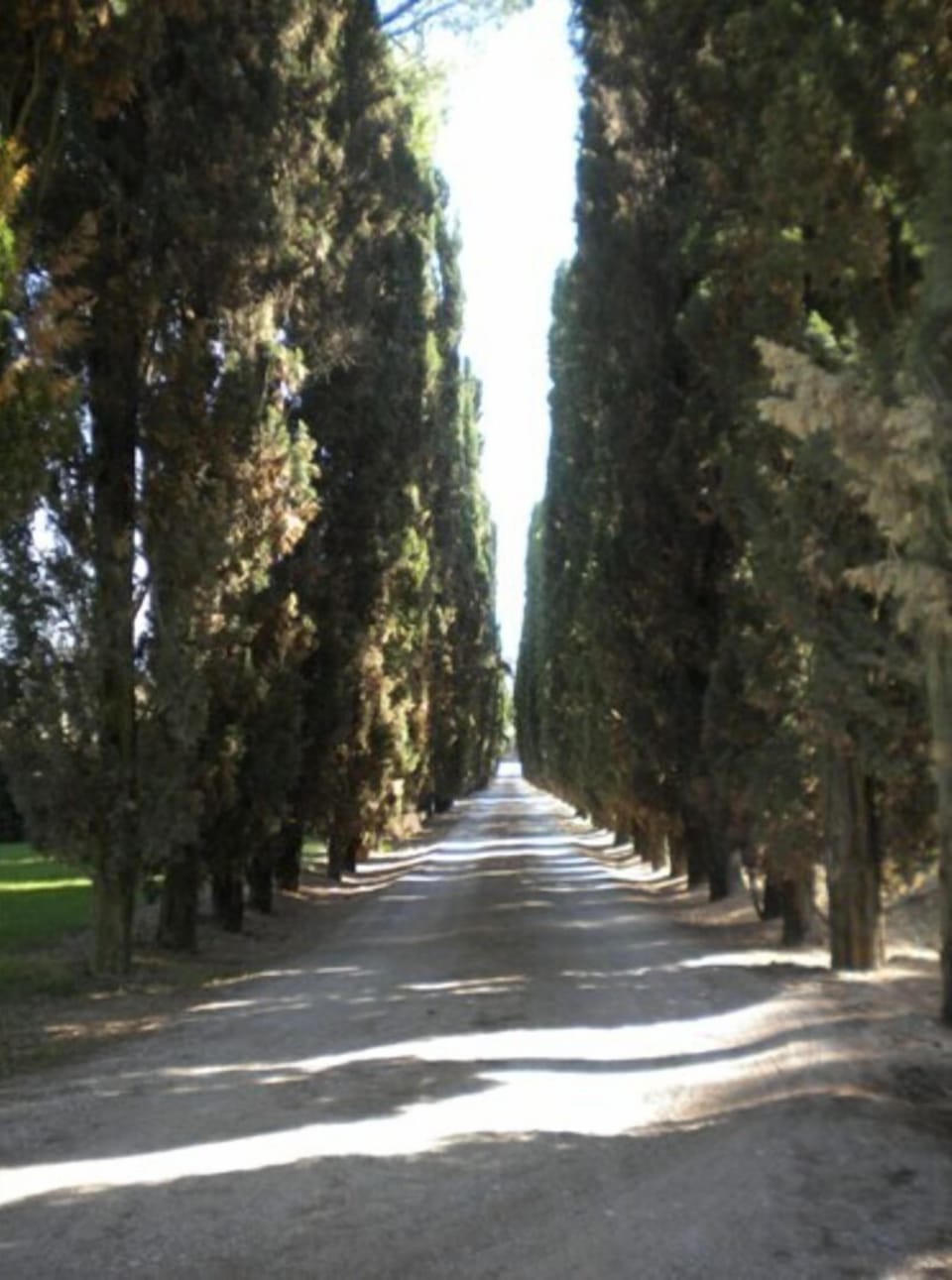 Outdoor