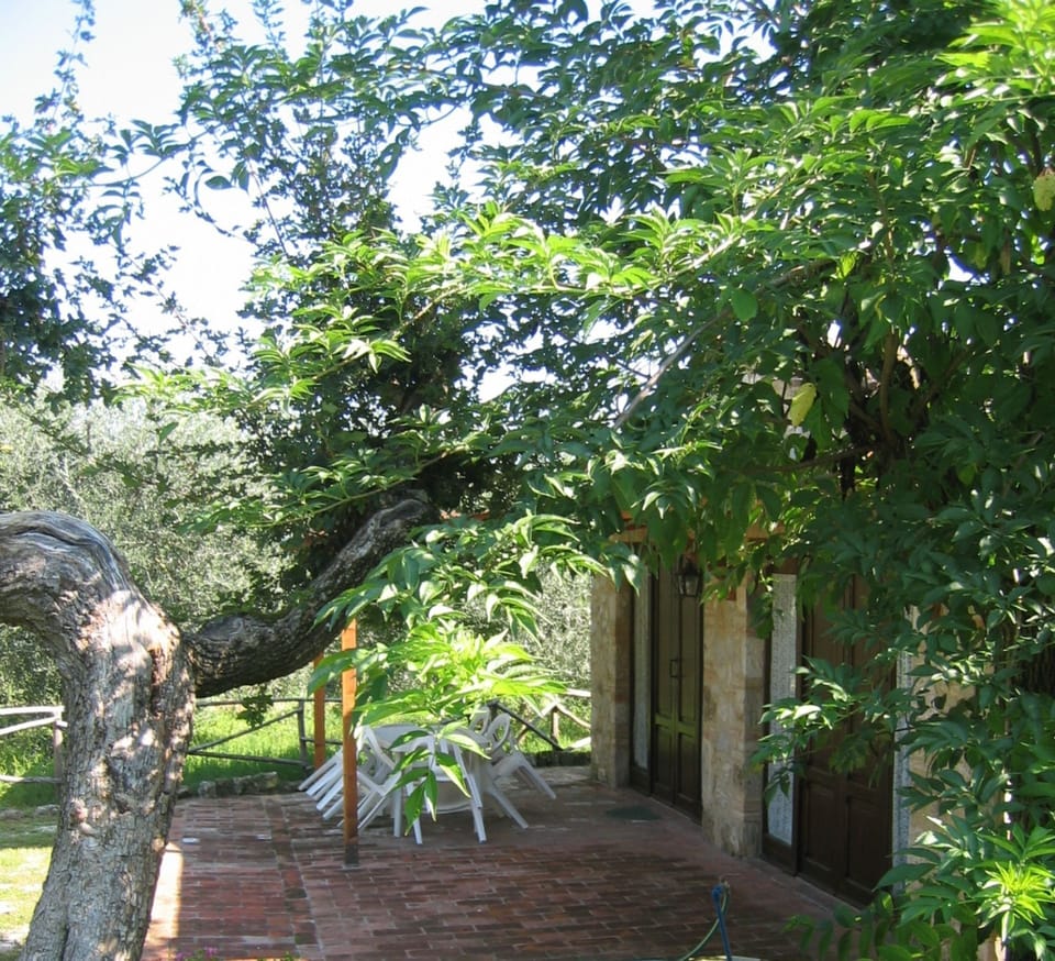 Outdoor