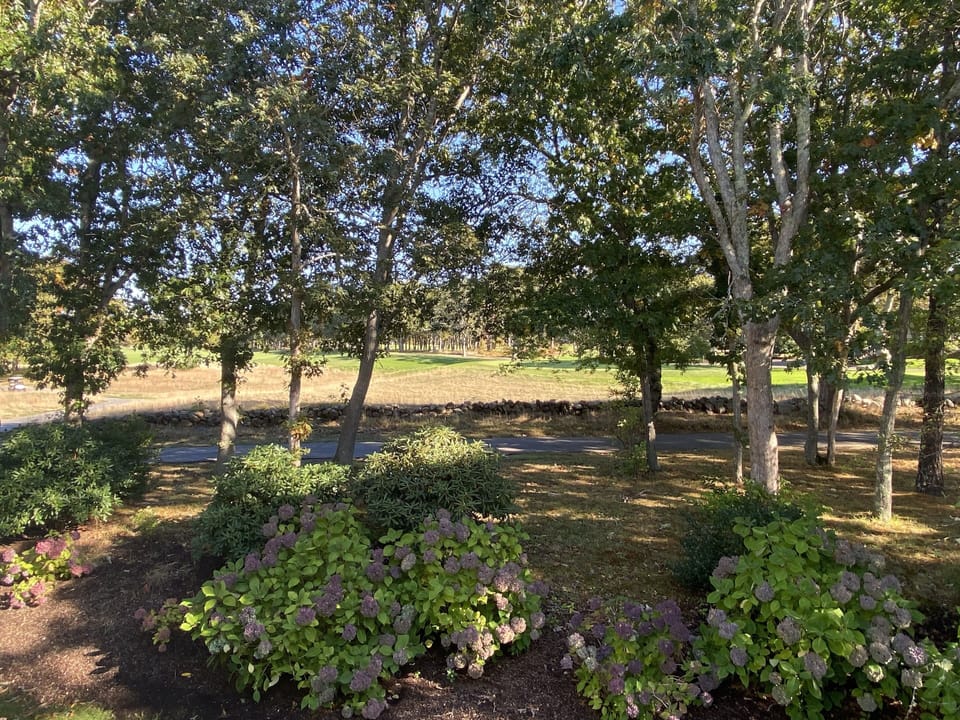 View from Deck
