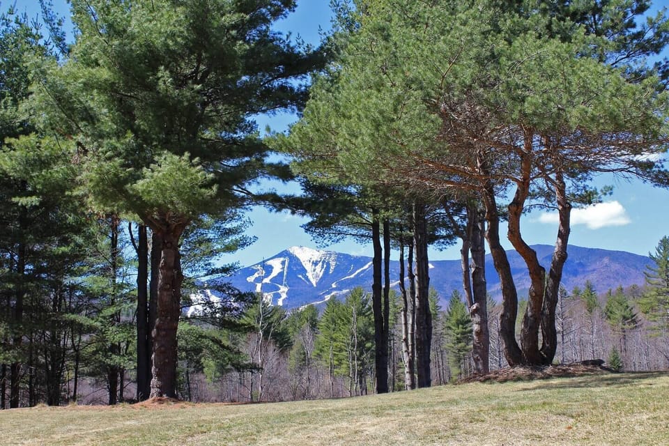 Striking view of Whiteface Mountain from the yard, deck, windows, sauna, and hot tub!