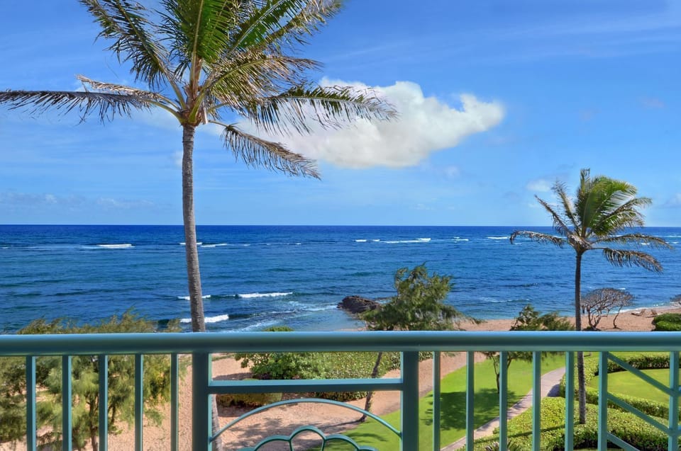 A406 Oceanfront