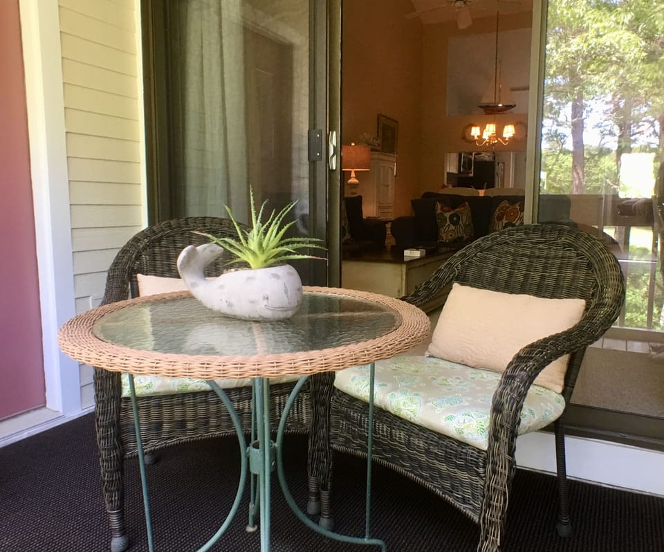 Rear Patio