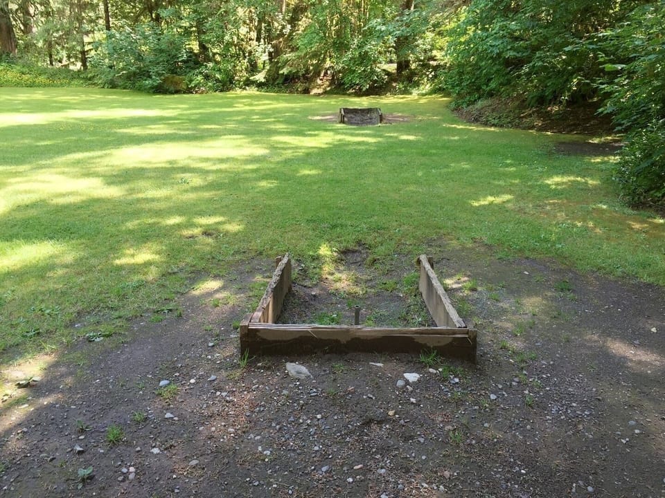 Grass, Nature, Outdoors, Yard, Park