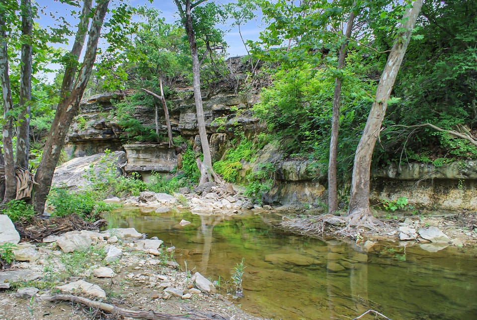 Smith Creek - right in your backyard
