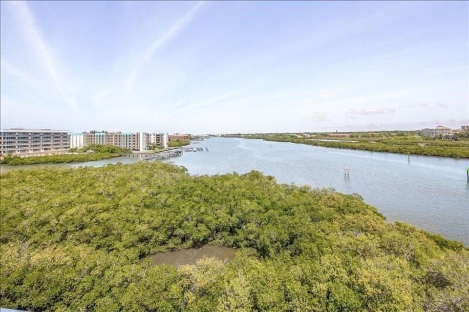 Protected mangroves full of Florida wildlife