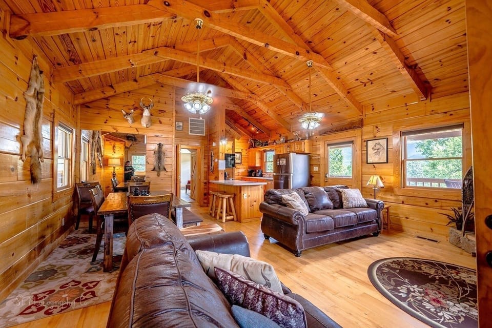 Indoors, Hardwood, Furniture, Living Room, Stained Wood