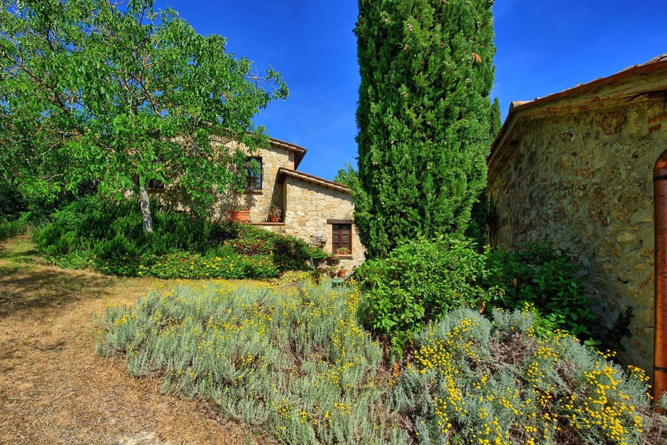 Building Exterior, Garden