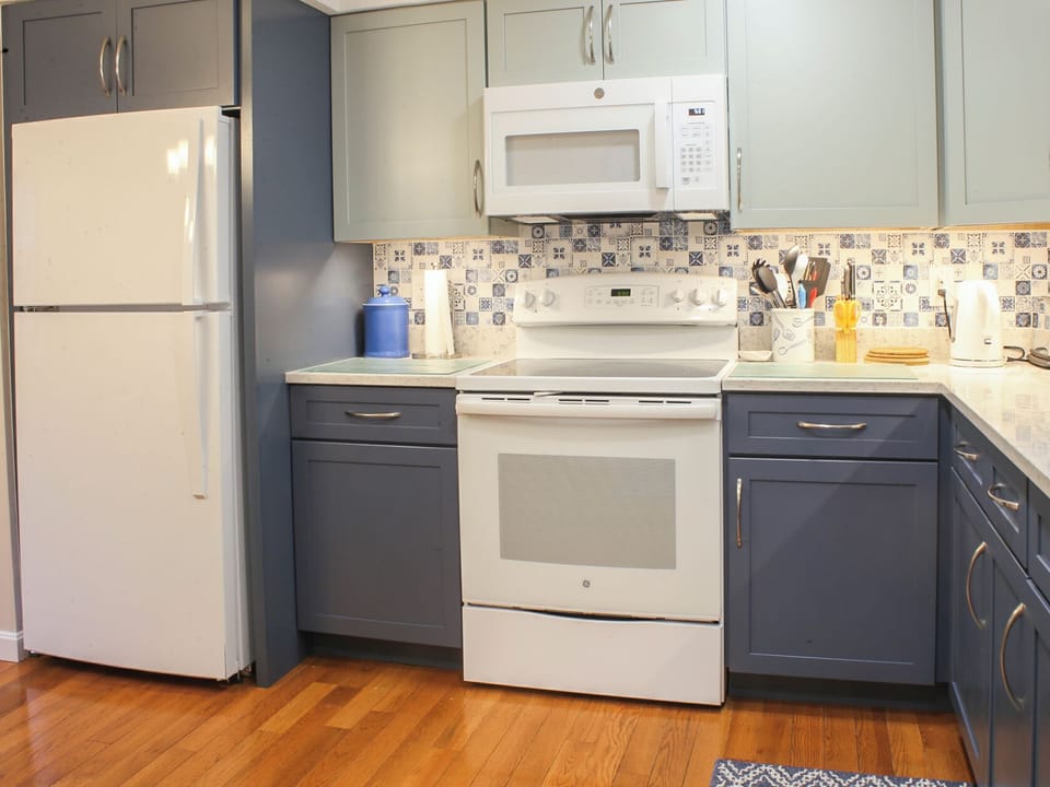 Kitchen range and fridge