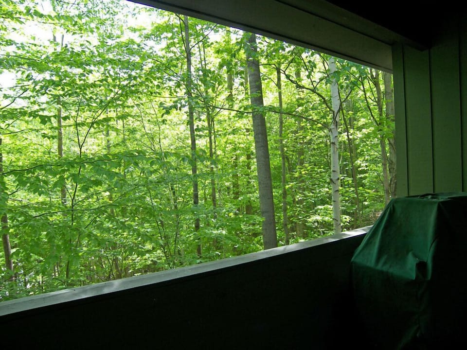 Deck with Wooded View
