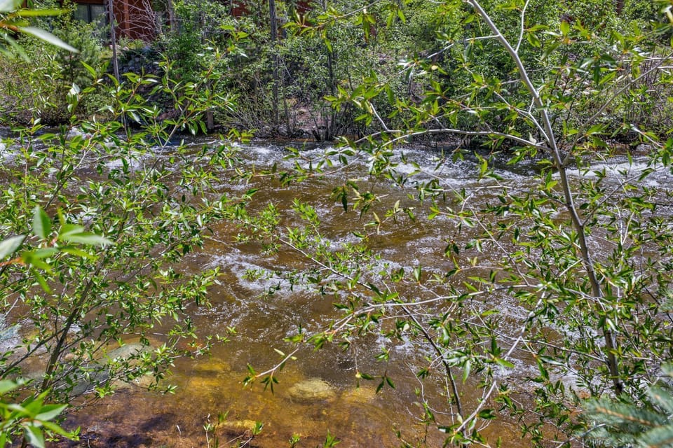 TI119C Creek