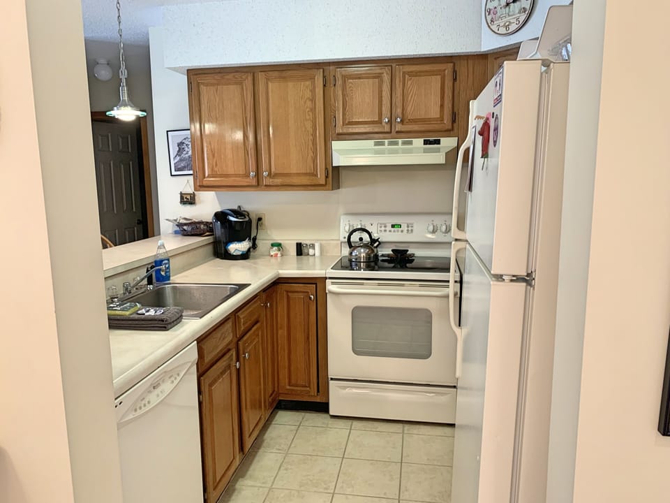Kitchen view 1