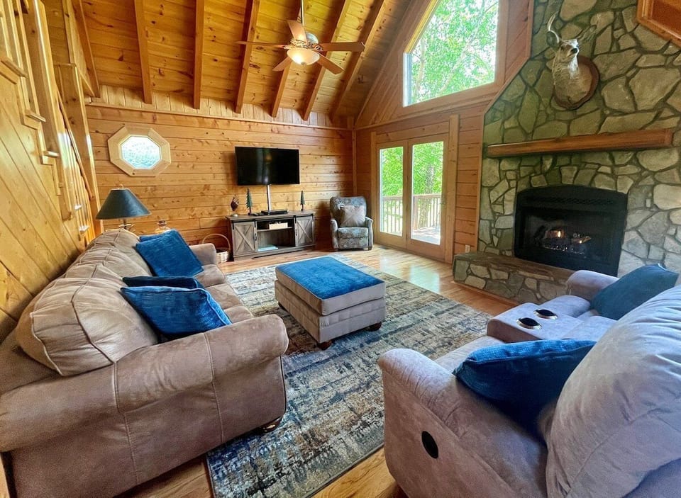 Living Room, Smart TV, Gas Log Fireplace