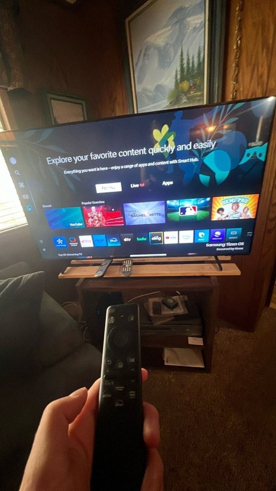 Television