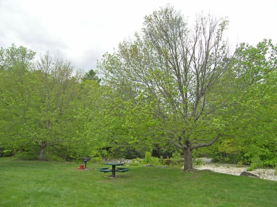 Picnic Area
