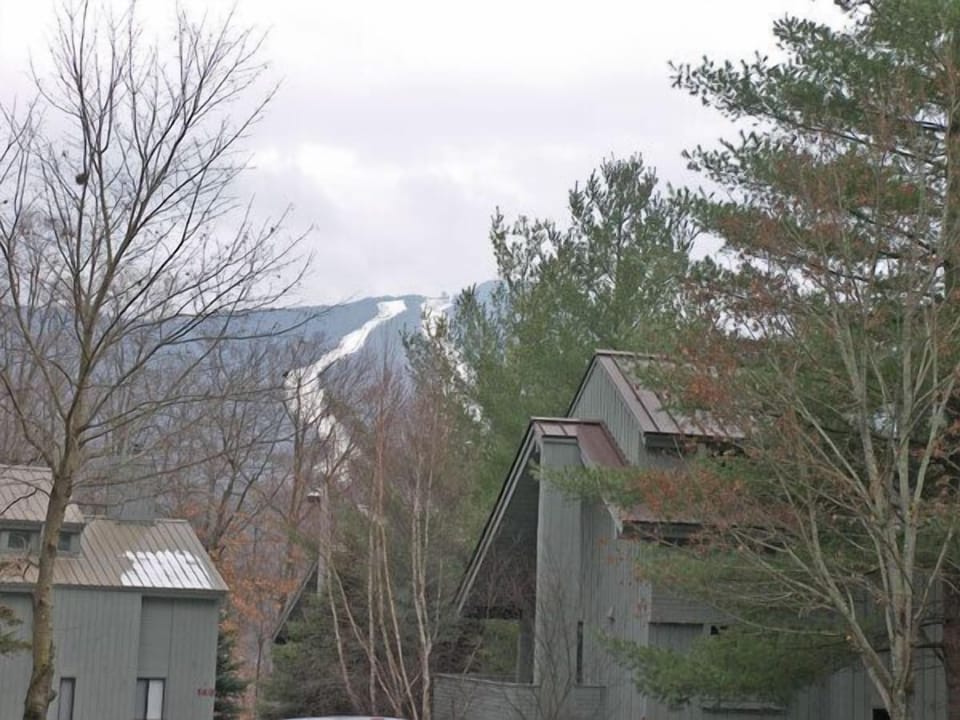 View from Front Steps - Early winter view from the front steps of Clearbrook 7.