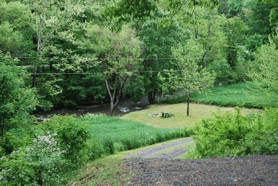 View of Trout Stream from Cabin