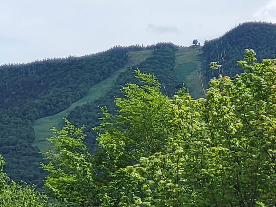 View into the mountains