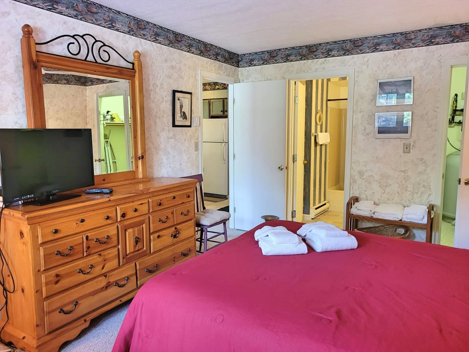 Bedroom with TV, bath and walk-in closet