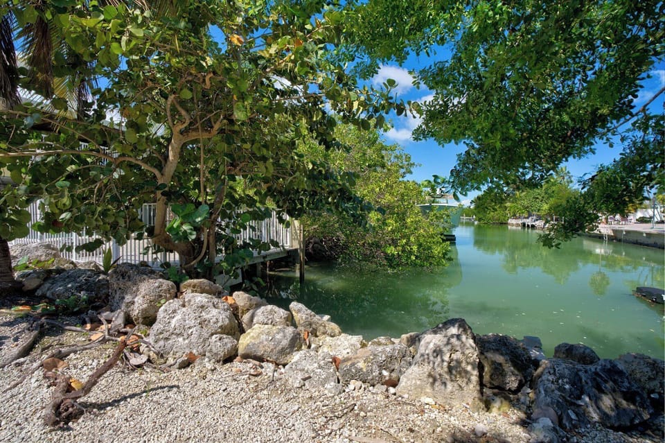 Canal view 2