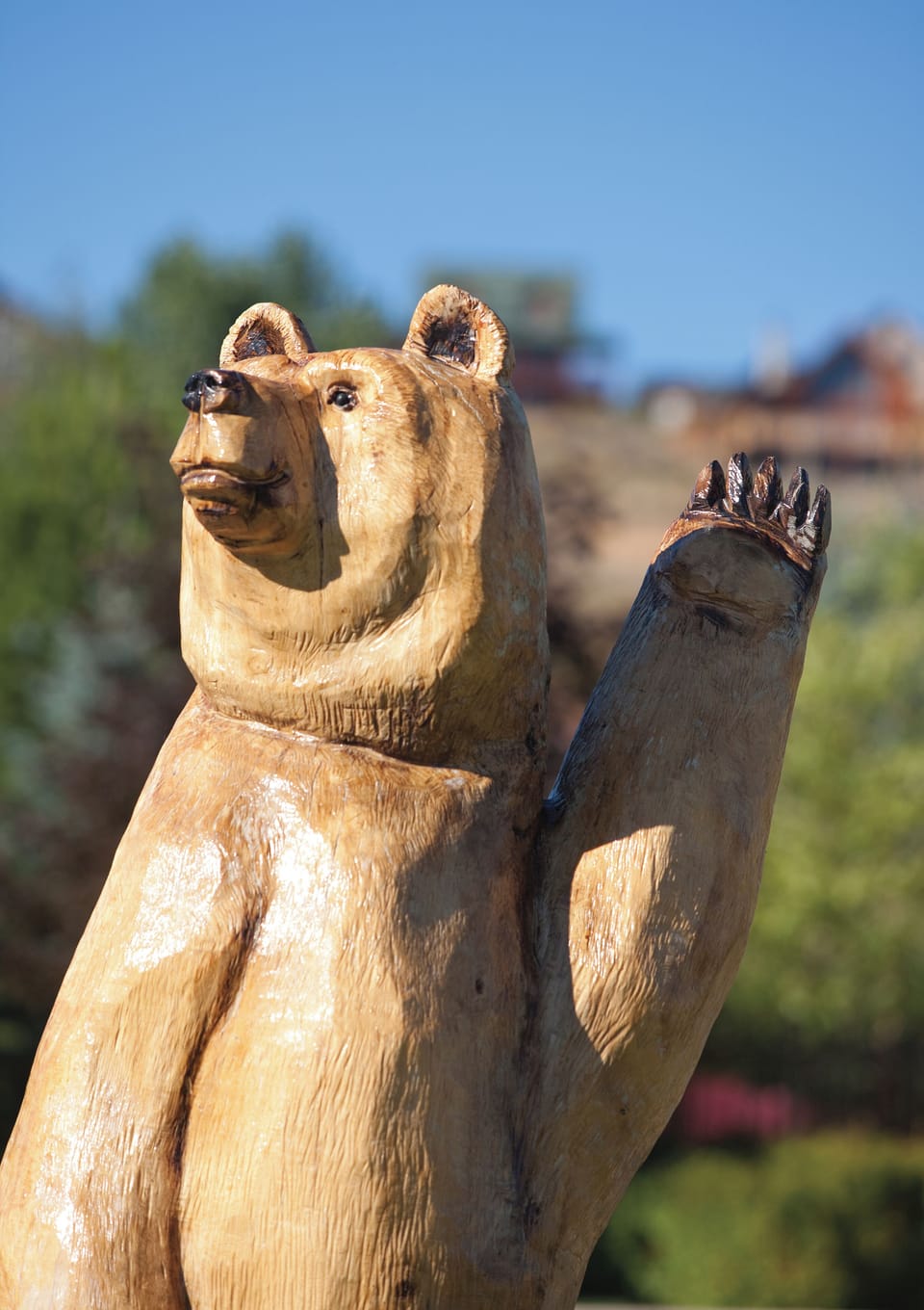 Bear_20Lake_20WBW_20Detail_20023