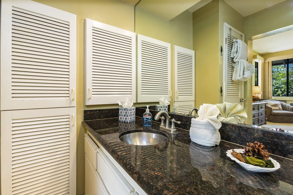 Thoughtfully designed guest bath with spa like touches